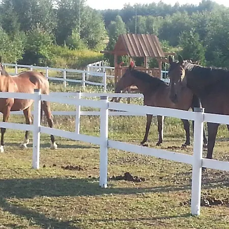 Osrodek Jezdziecki Konski Dwor Oborniki Śląskie